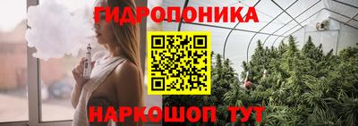 Альфа ПВП Сланцы