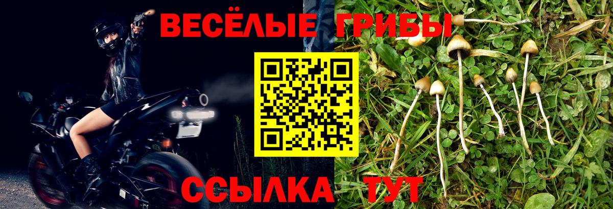 Псилоцибиновые грибы GOLDEN TEACHER  Вход с VPN  купить наркотики сайты  Надым  Псилоцибиновые грибы ЛСД 
